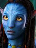 manjariarun's Avatar