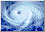 typhoon's Avatar